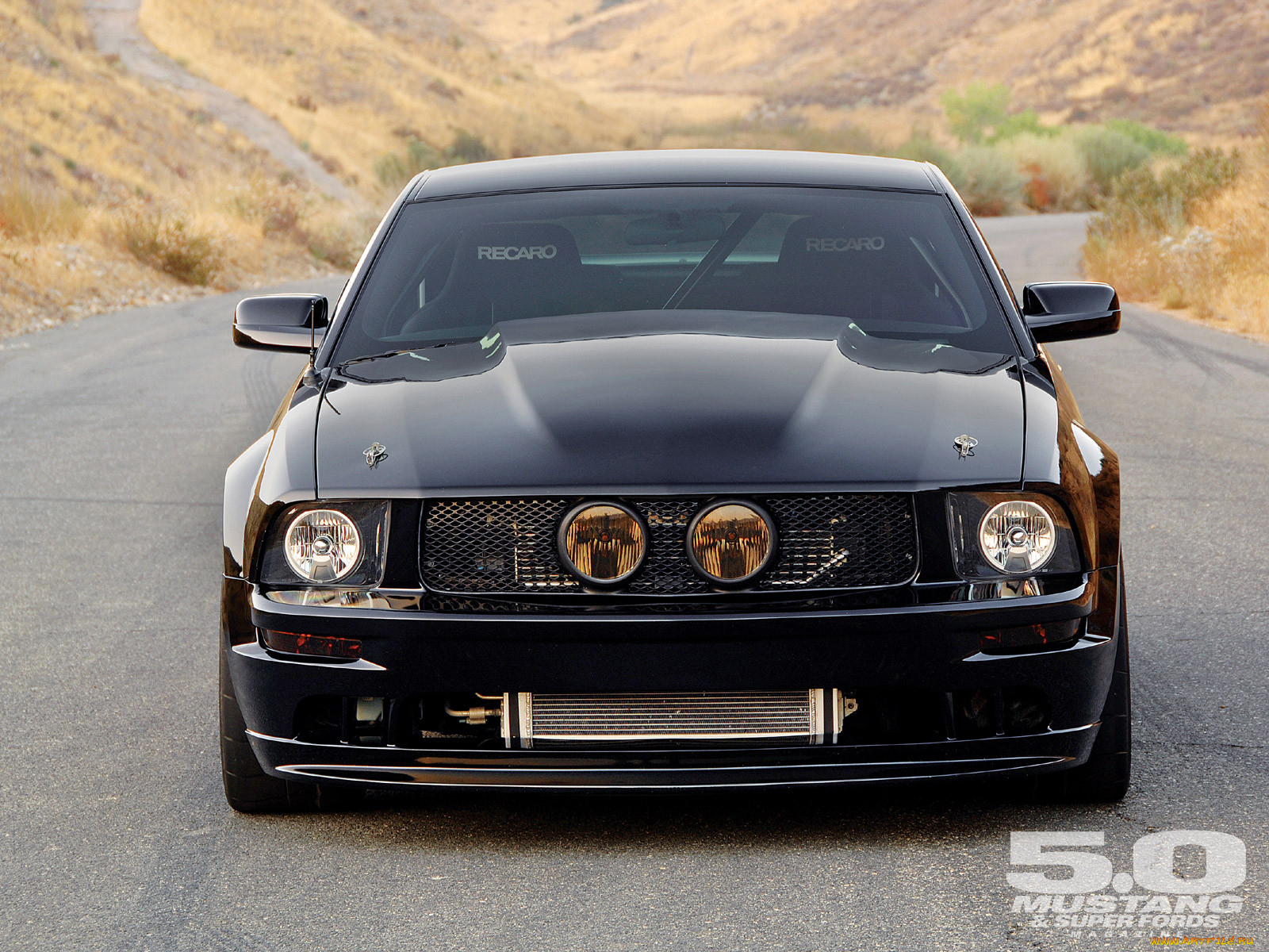 , mustang